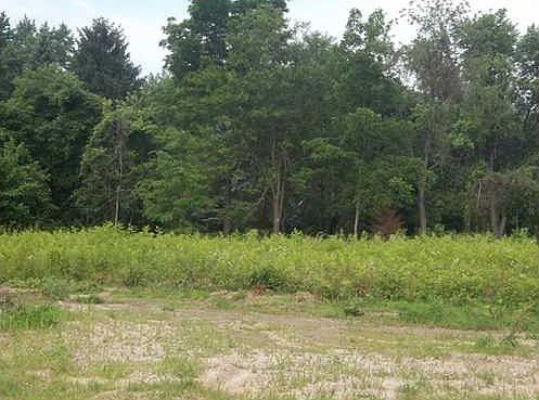 2nd image of 3972 Timber Valley Dr