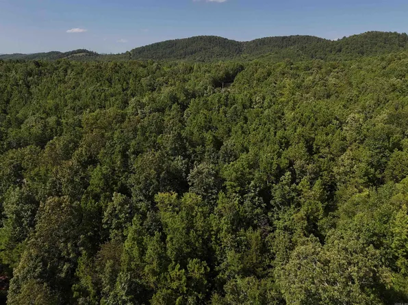 4 Polk Rd #78, Mena, AR 71953