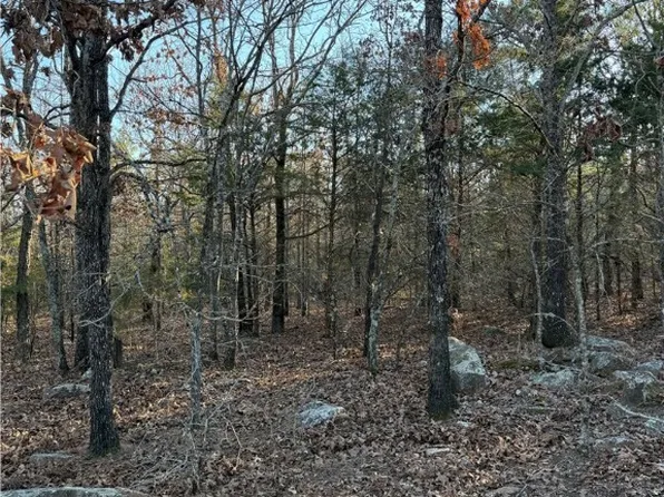 TRACT Two Rural, Atoka, OK 74525