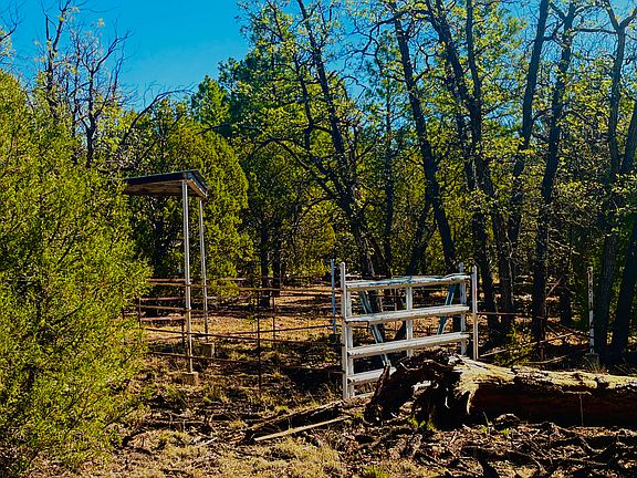 4th image of 7889 Zuni Canyon Rd