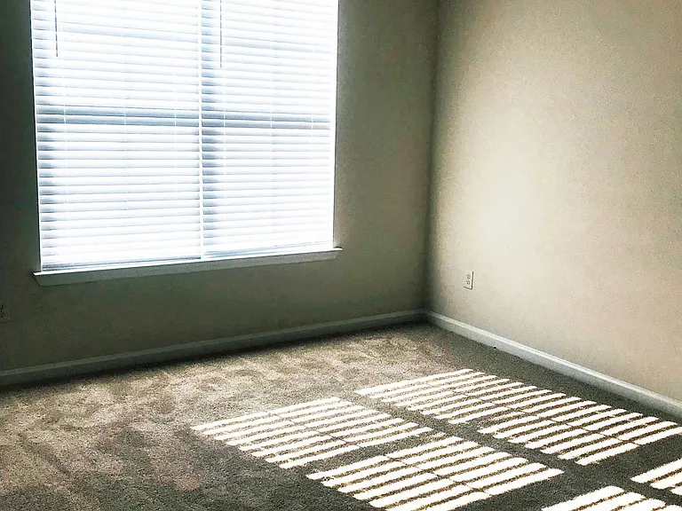 Clairmont at Brier Creek — Photo 343