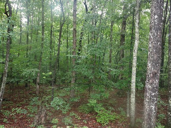 4th image of 2220 Sarvisberry Pl Lot 129
