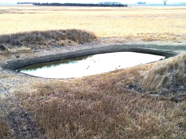 258th St, Emery, SD 57332