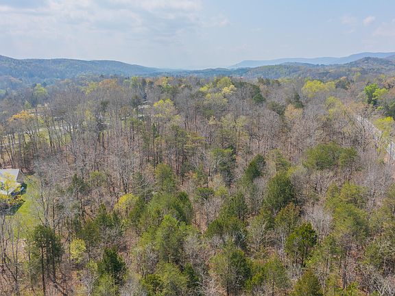 2nd image of TRACT 2 Kendricks Switch Rd #1007