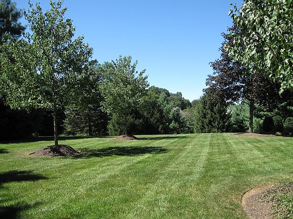 Level, open property