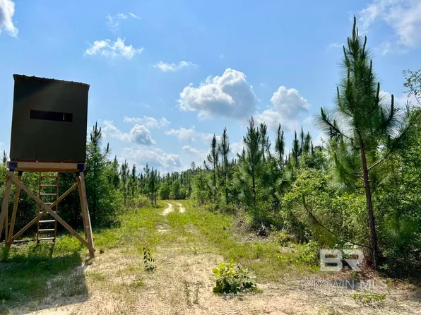 0 Private Rd, Chunchula, AL 36521