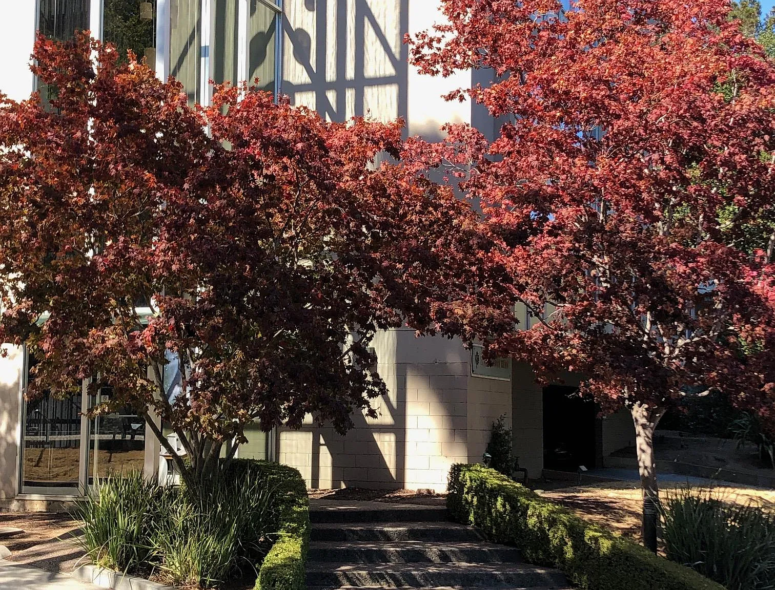 10 Mulberry Court — Photo 1