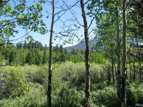 13 S Dory Lakes Drive, Black Hawk, CO 80422