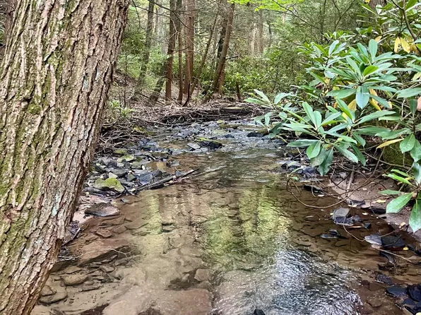 6 Beech Creek Mountain Rd, Beech Creek, PA 16822