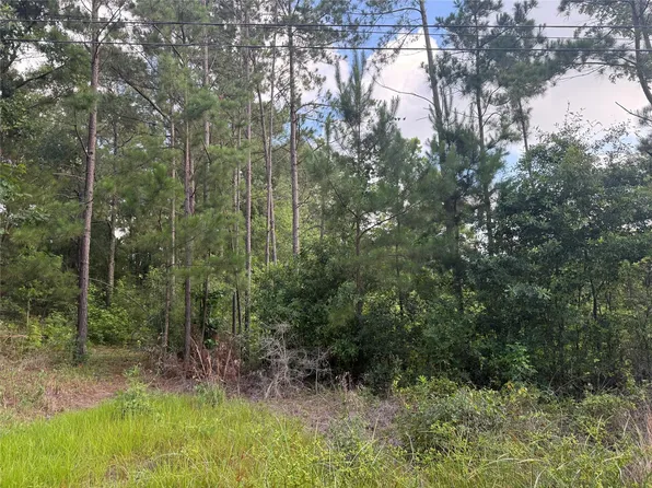 3555 Hickock Ln, Willis, TX 77378