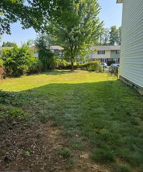 237 Cameron St — Photo 4
