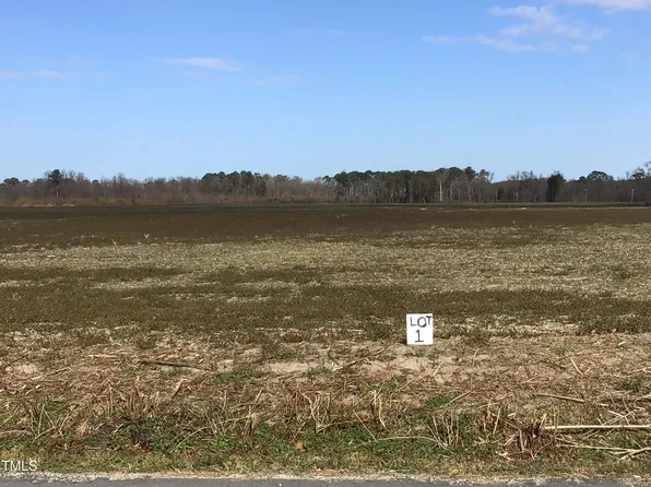 LOT 1 Sarecta Rd #1, Pink Hill, NC 28572