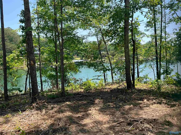 1576 Bear Branch Pl, Double Springs, AL 35553