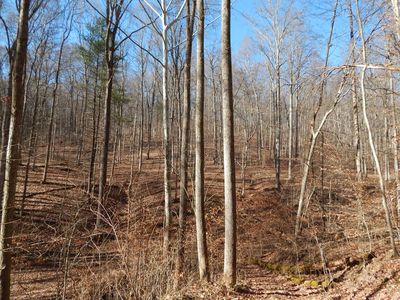 0 King Knob Run, Harrisville, WV, 26362