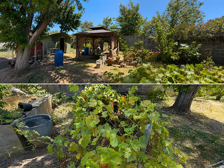 7240 Chesney Way — Photo 6