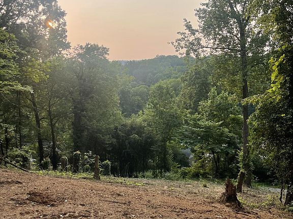 3rd image of 456 Red Oak Dr