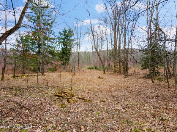 L1 Fulton Hill Road, Fulton, NY 12194