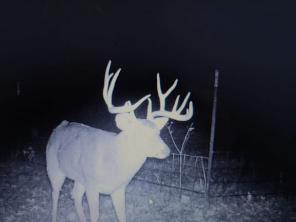 3rd image of Pushmataha County Rd