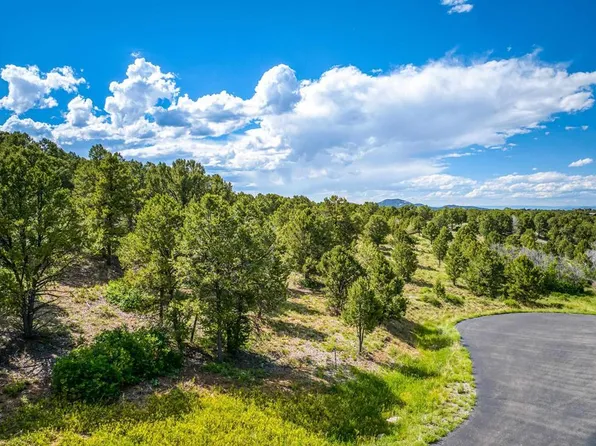 Lot 9 Pointe Escape Drive, Ridgway, CO 81432