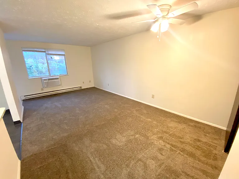 Ferndale Ridge — Photo 10