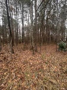107 Browns Mill Road, Robbins, NC, 27325
