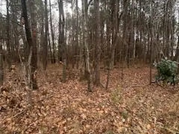 107 Browns Mill Road, Robbins, NC 27325