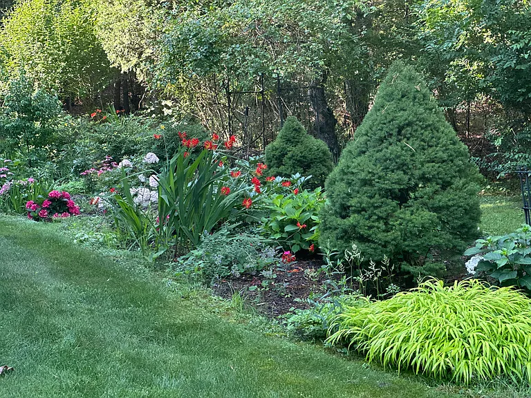 3 1st Pl — Photo 17