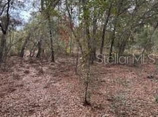 0 Riviera Ln LOT 90, Interlachen, FL 32148