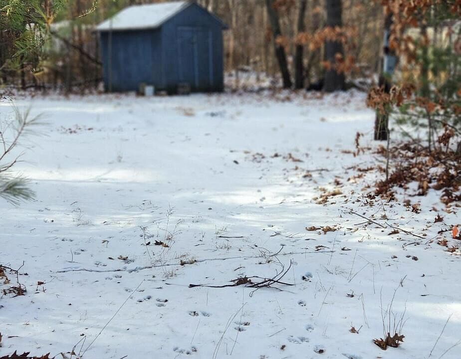 2nd image of 20 Pinetree Drive