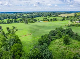 7061 Ransom Free Rd, Clermont, GA 30527