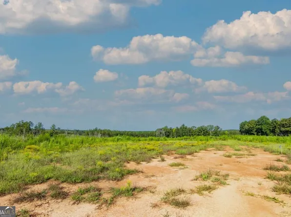 TRACT 5 Carlisle Gap Rd, Woodland, GA 31836