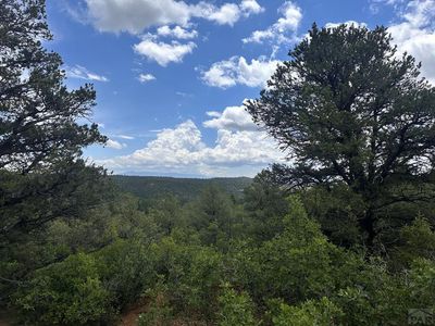 El Toro Way, Trinidad, CO, 81082