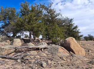 1282 Ute Trce, Hartsel, CO 80449