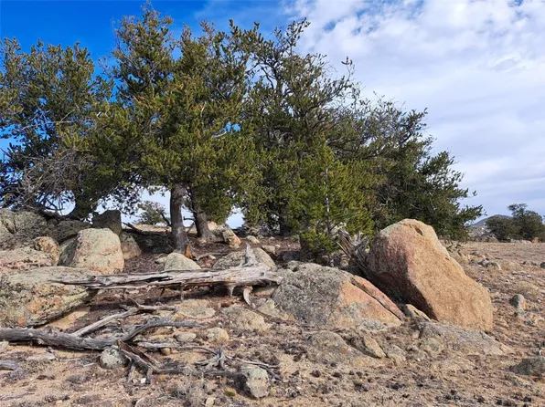 1282 Ute Trce, Hartsel, CO 80449