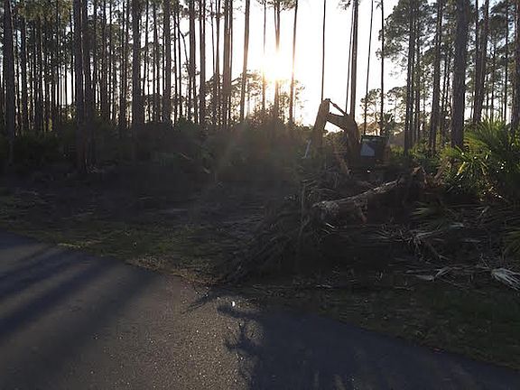 4th image of 3 Empire Ln #A