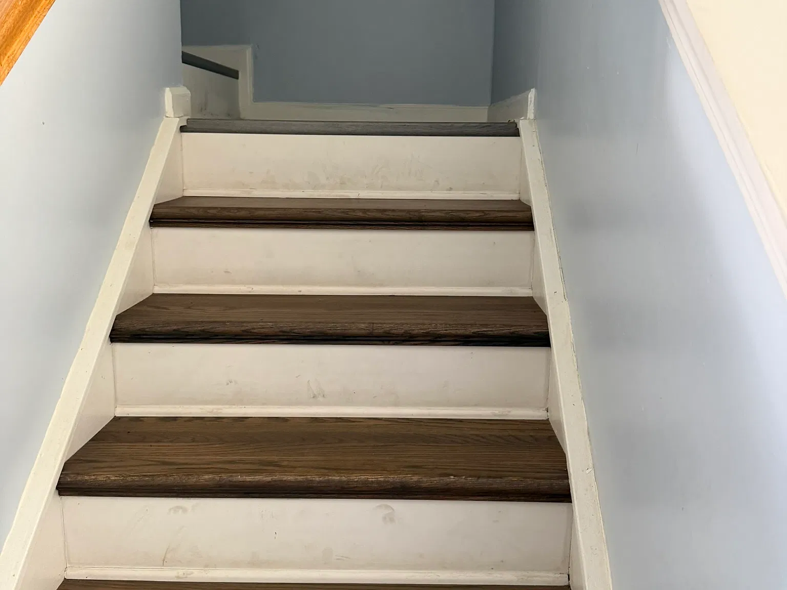 204 Hadley Commons Drive - 1 — Photo 3