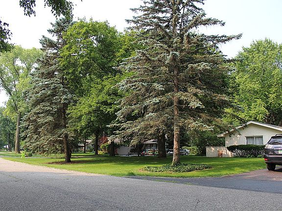 Huge Lot with mature trees!