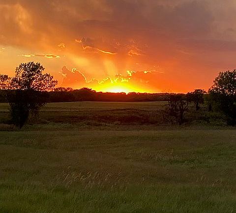 4th image of 12101 Alembic Rd