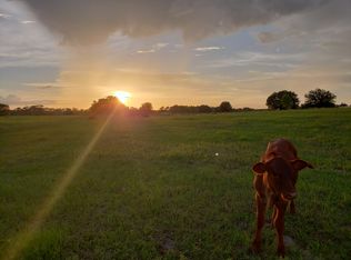 2335 Bay Lake Loop, Groveland, FL 34736