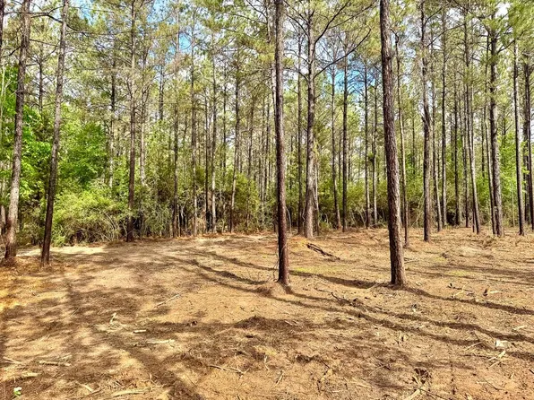1 Benny Griffin Rd, Livingston, TX 77351