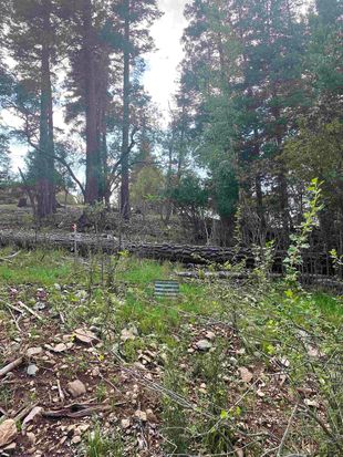 LOT 17 Woodlands Way, Cloudcroft, NM 88317