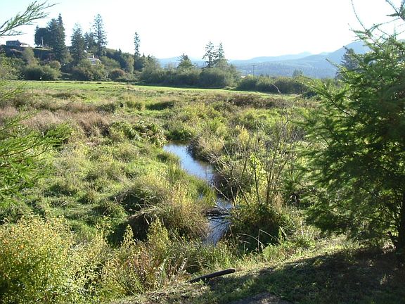 Wet Land In Front of Home