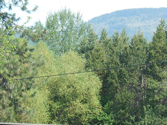 Rathdrum Mt. - L.R. Window