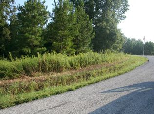 4112 Bible Grove Rd, Lexington, TN 38351