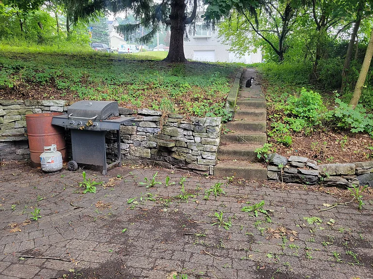 23 Dewey St — Photo 15