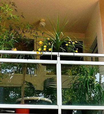 Sold by Corcoran | media 27