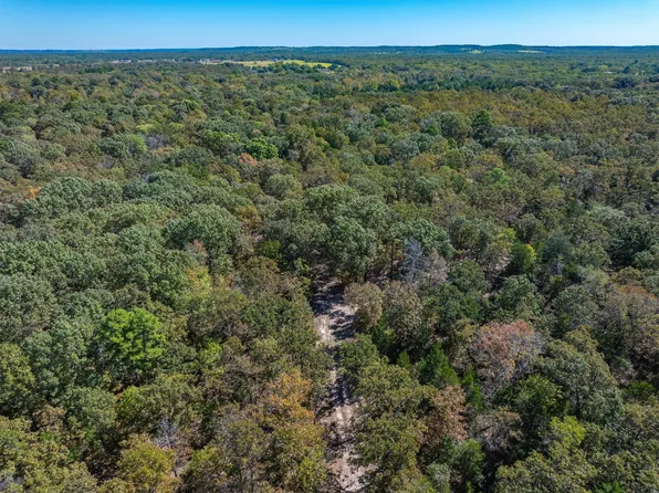TRACT Three Pvt Rd #8079, Ben Wheeler, TX 75754