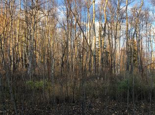 1101 W Winter Ave, Wasilla, AK 99654