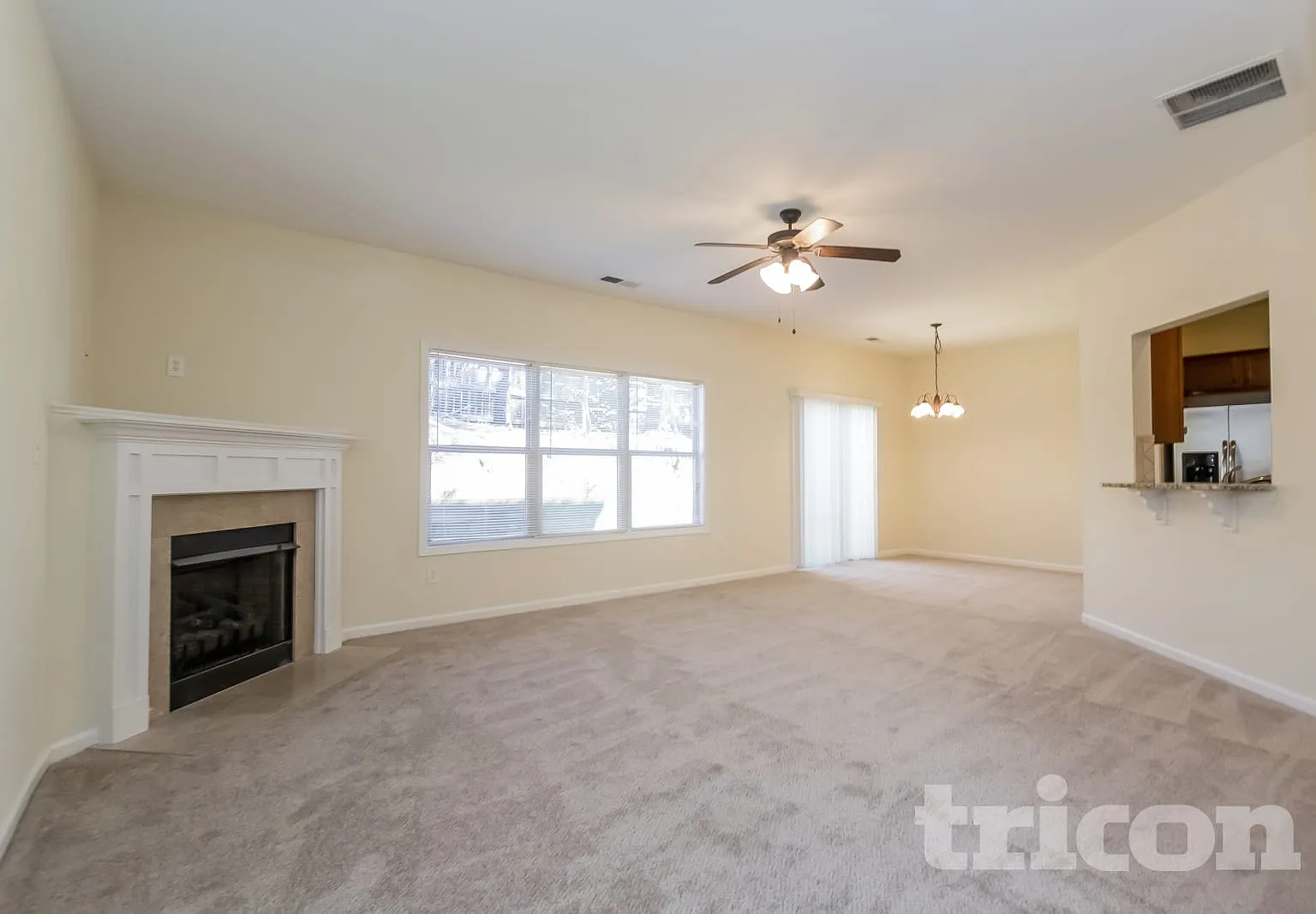 227 Bethany Manor Court Ball Ground GA — Photo 3