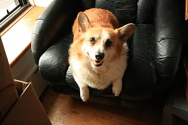 Rented by R New York